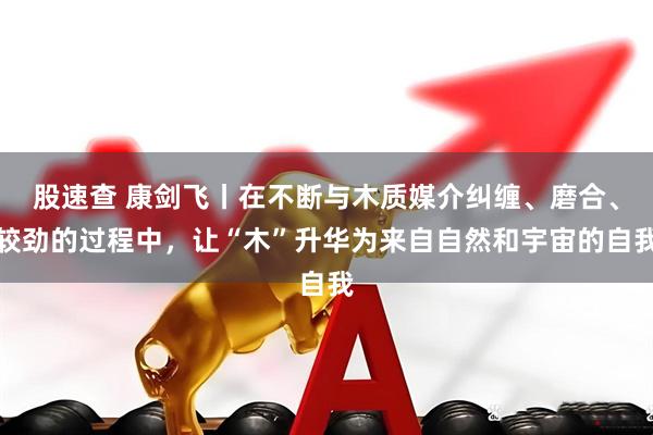 股速查 康剑飞丨在不断与木质媒介纠缠、磨合、较劲的过程中，让“木”升华为来自自然和宇宙的自我