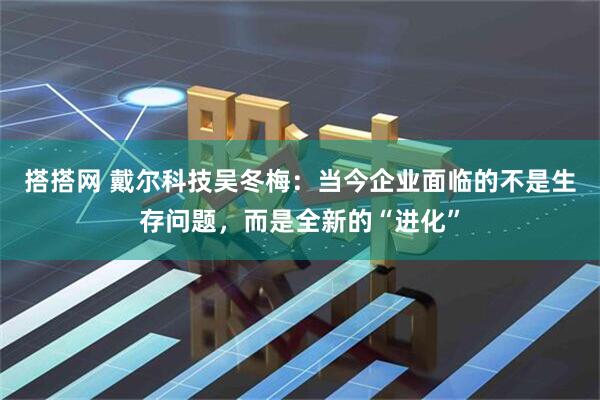搭搭网 戴尔科技吴冬梅：当今企业面临的不是生存问题，而是全新的“进化”