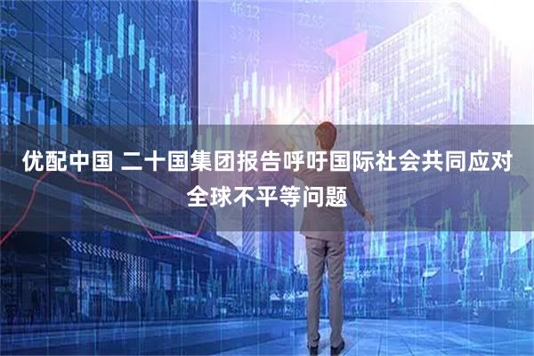 优配中国 二十国集团报告呼吁国际社会共同应对全球不平等问题