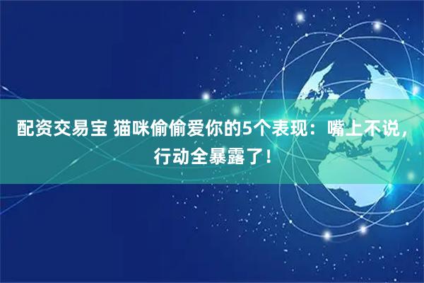配资交易宝 猫咪偷偷爱你的5个表现：嘴上不说，行动全暴露了！