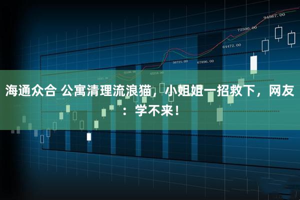 海通众合 公寓清理流浪猫，小姐姐一招救下，网友：学不来！